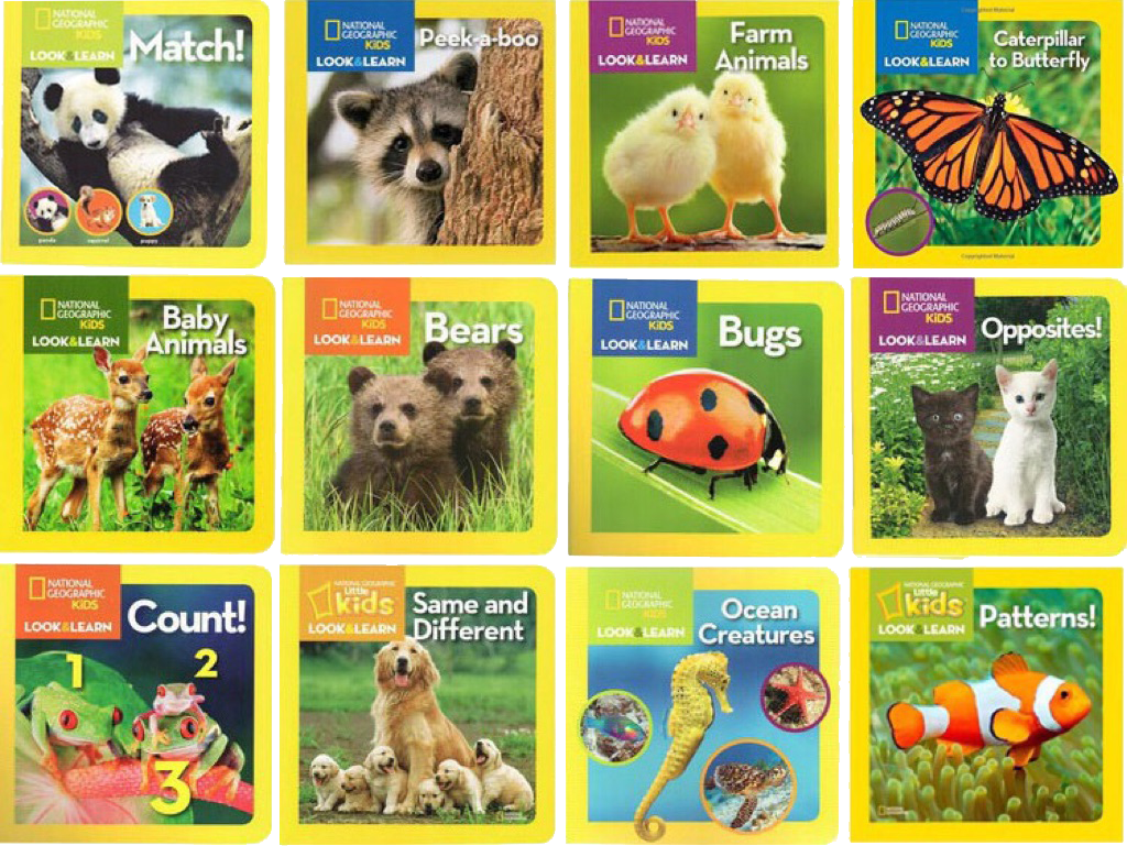 Look And Learn National Geographic Kids 12 Books Set (China ...